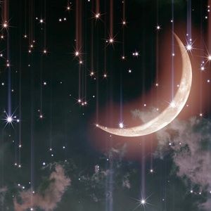 Meet your Posher, J.